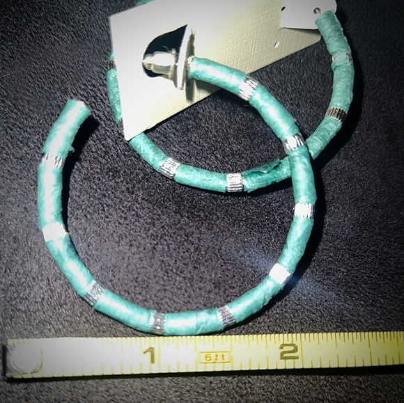 Bundle Set of 2 NEW Pairs of Hoop Earrings, Acrylic/Lucite - Picture 8 of 13